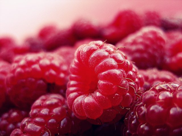 raspberry, fruits, fresh-427390.jpg