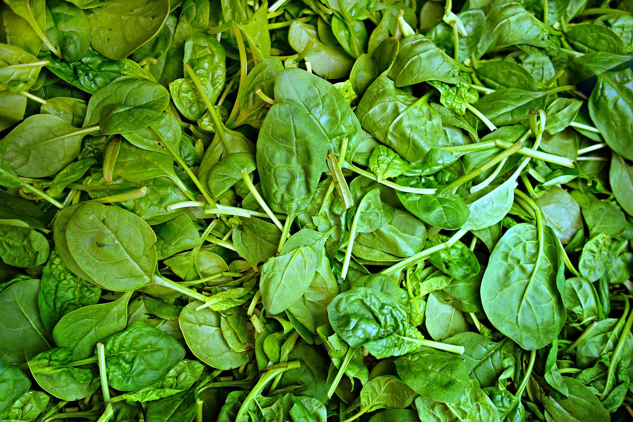 spinach, vegetable, fresh vegetable-1522283.jpg