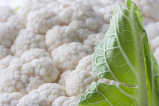 white, cauliflower, vegetable-2408571.jpg